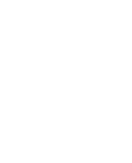 Oribi Solutions